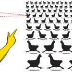 변화맹: 바로 눈앞에 있는데 물건을 찾지 못하는 이유