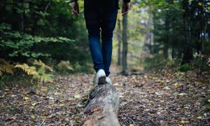 마음 챙김과 인지 기능: 지금 이 순간의 힘 활용하기