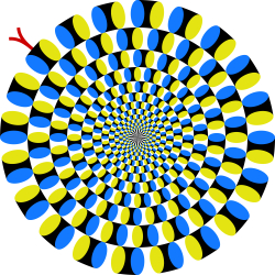 착시 현상이 뇌를 속이는 방법