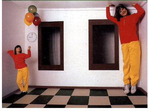 뮐러-라이어 착시