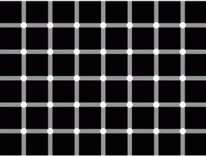 착시 현상이 뇌를 속이는 방법