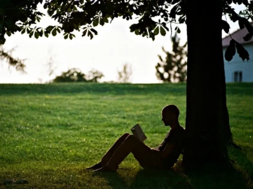 왜 우리는 이야기를 좋아하는가: 이야기의 과학과 두뇌