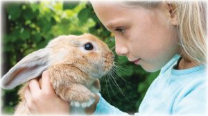 정신 건강 치료에서 치료 동물 역할