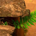 어려운 시기에 회복력을 키우는 방법