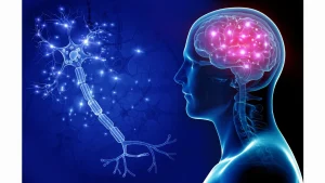 뇌가 익숙한 고통을 좋아하는 이유