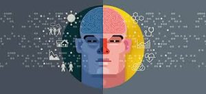 감정과 습관이 매일 인간의 행동에 미치는 영향