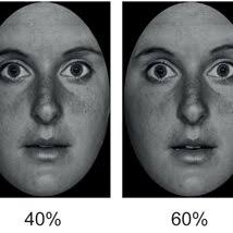 미세 표정: 숨겨진 감정이 드러나는 순간